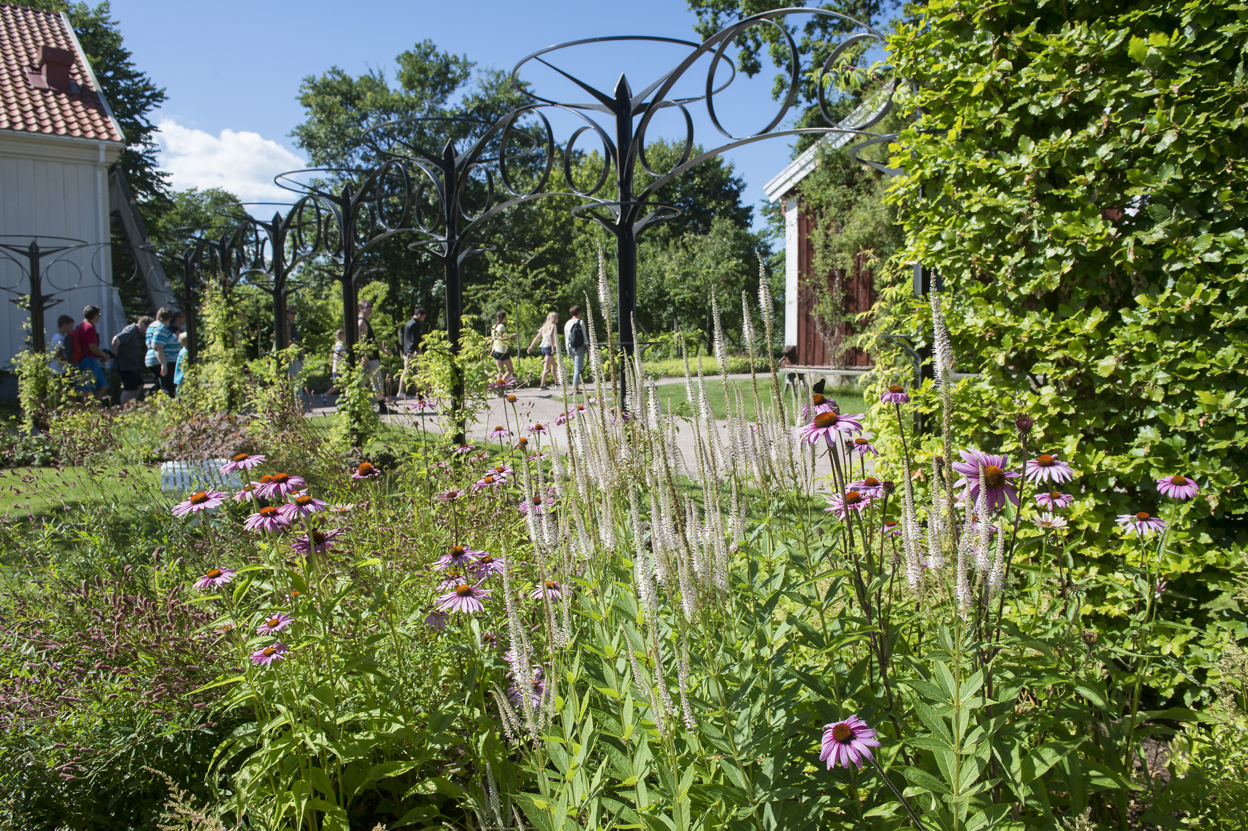 Törnrosgården