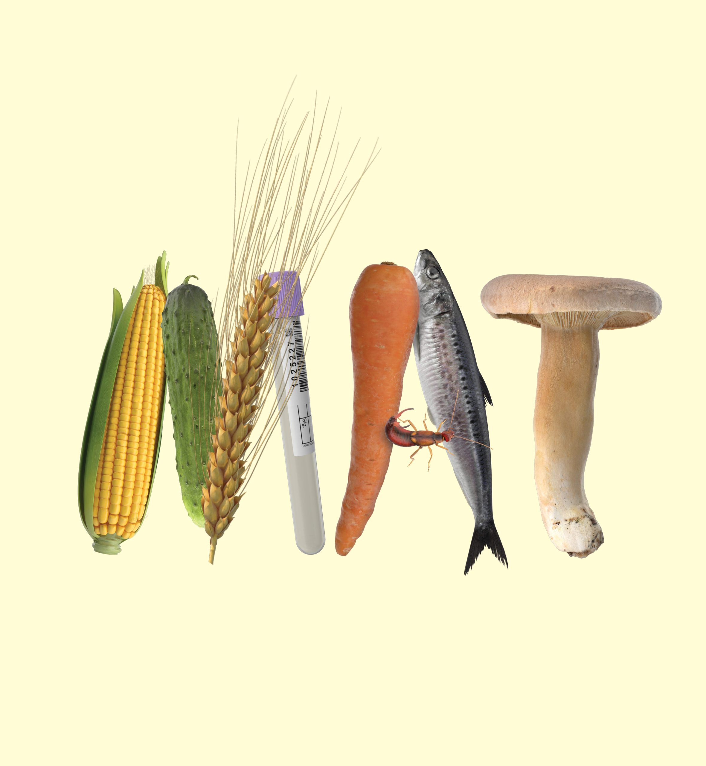 Logotype för säsongsutställningen 2026